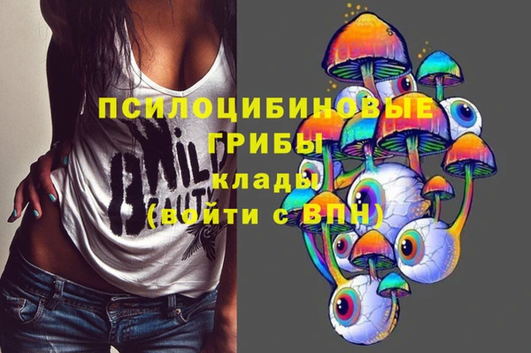 эйфоретик Карпинск