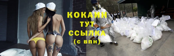эйфоретик Карпинск