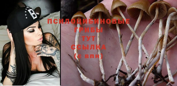 мдпв Карталы
