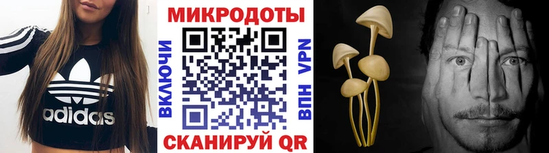 Галлюциногенные грибы мухоморы  Купить  Зарайск 